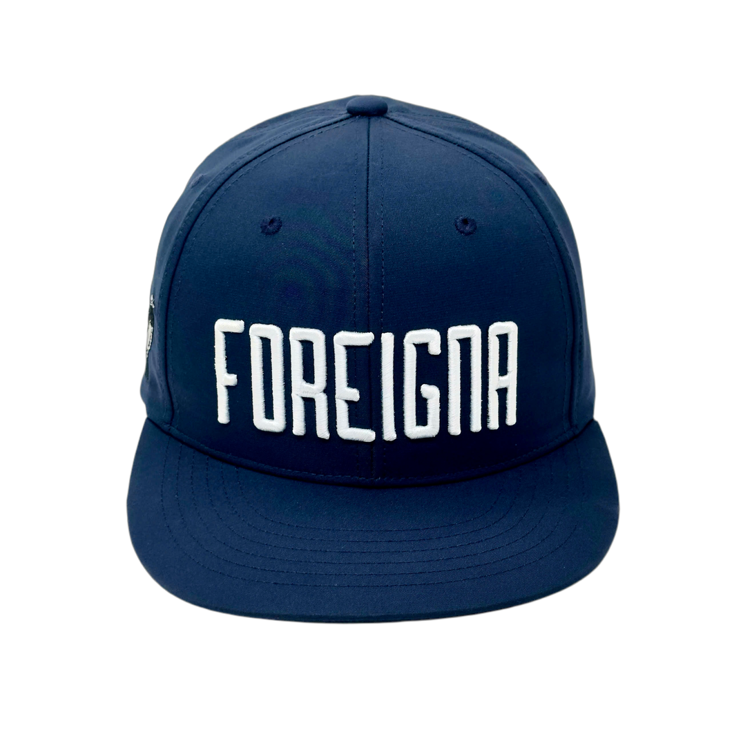 Foreigna 3D Baseball SnapBack Caps - Blue