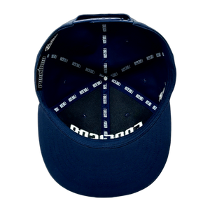 Foreigna 3D Baseball SnapBack Caps - Blue