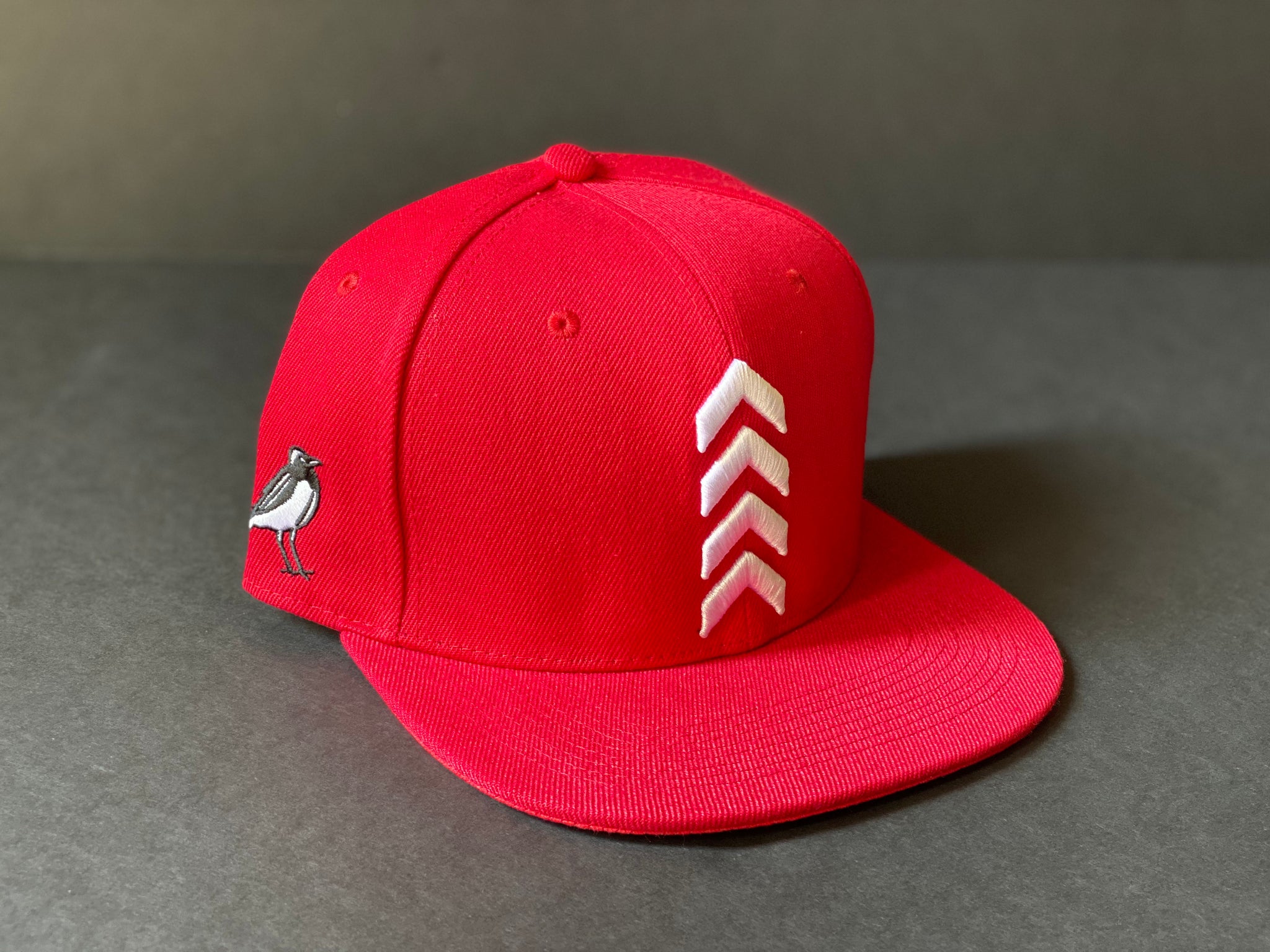 Foreigner Cap Takeoff 3D Embroidery Snapback Caps
