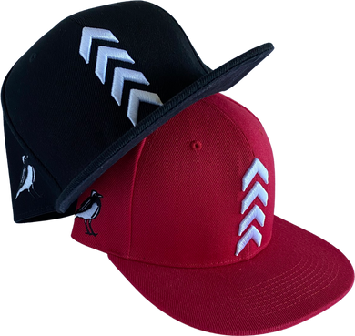 Takeoff 3D Embroidery Snapback Caps
